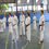 I Seminario Carmo - Karateca.net de Karate-dô